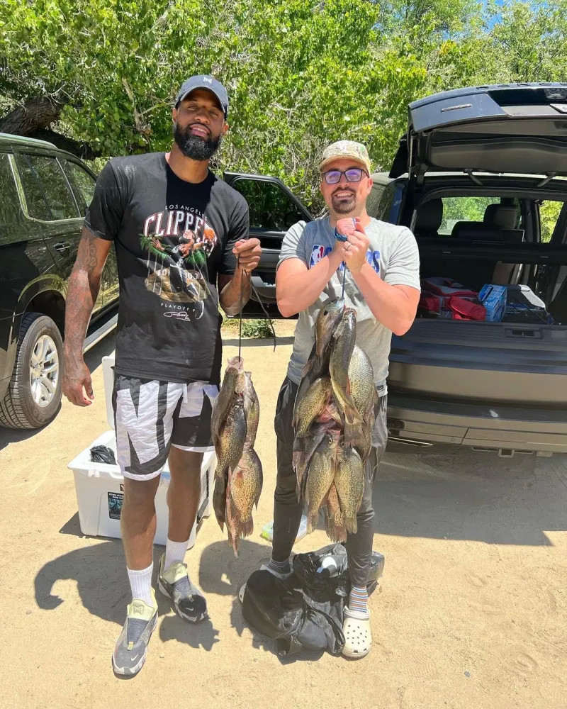 乒乓球项目 乒乓球项目