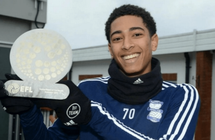 至于加维 至于加维